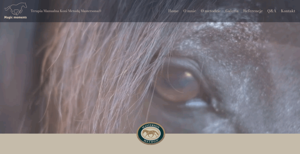 strona-wordpress-magic Magic Moments